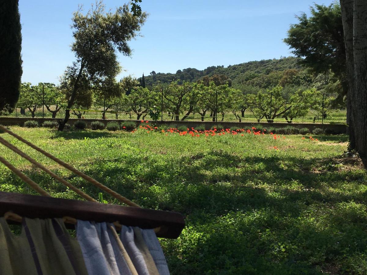 Le Chene Et L'Eau Bed and Breakfast Roquebrune-sur Argens Εξωτερικό φωτογραφία