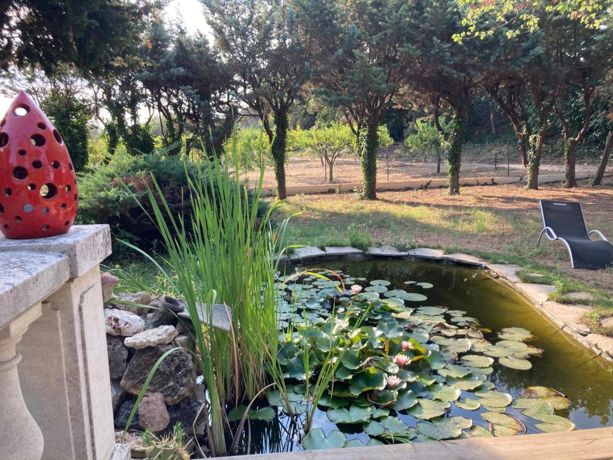 Le Chene Et L'Eau Bed and Breakfast Roquebrune-sur Argens Εξωτερικό φωτογραφία