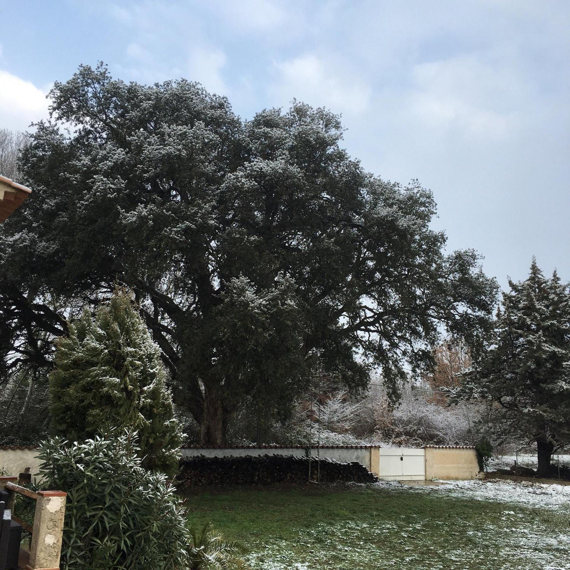 Le Chene Et L'Eau Bed and Breakfast Roquebrune-sur Argens Εξωτερικό φωτογραφία